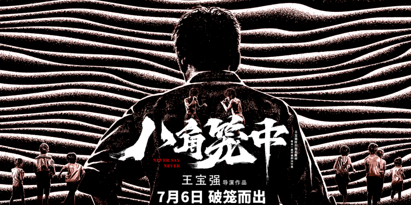影视 | 八角笼中 (2023) 正式版1080P 中字 网盘资源分享-蛋窝窝