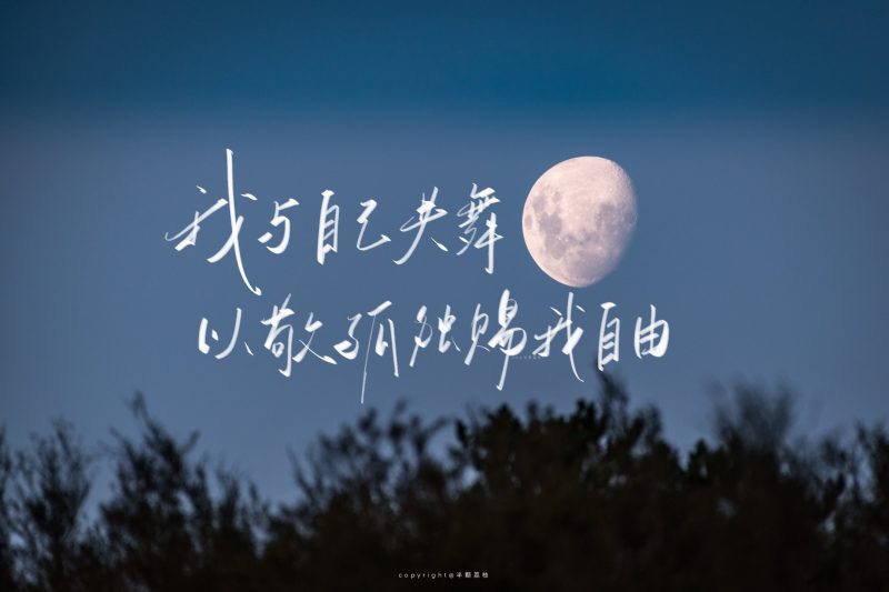 高考 | 张学峰2023年高考志愿填报指导教程资源-蛋窝窝