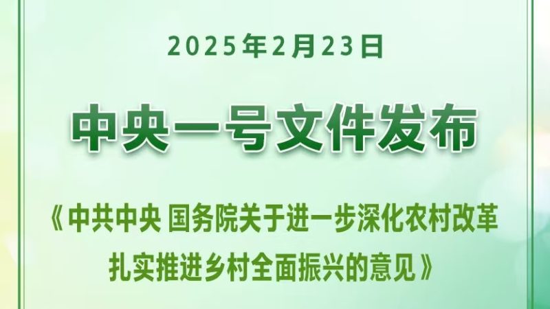 公考 | 2025年中央一号文件全文发布-蛋窝窝