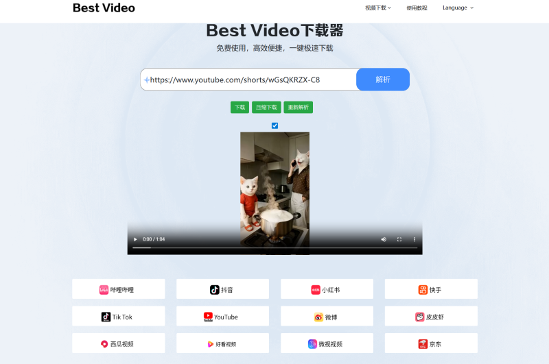 网站 | Best Video，免费下载B站，抖音，小红书，快手，微博，西瓜视频，Tik Tok，YouTube等平台视频-蛋窝窝